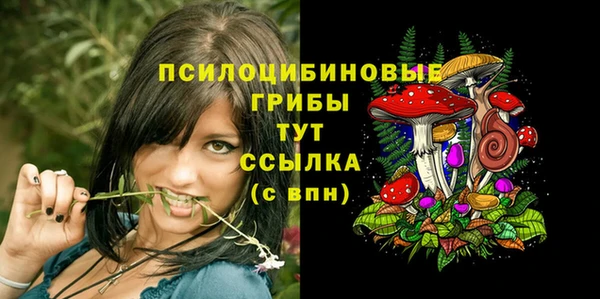 MDMA Осинники