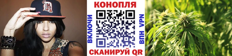 Купить где  Курганинск  Конопля MAZAR 